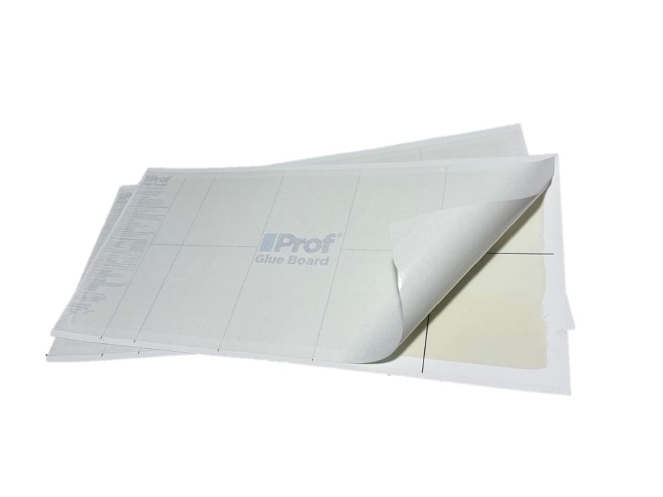 prof1
